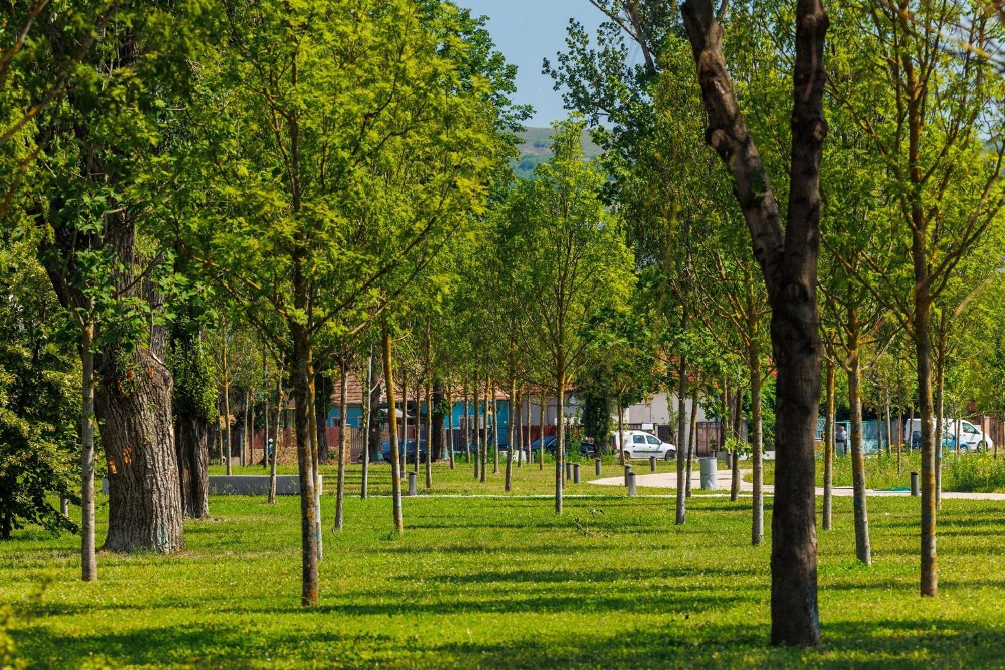 Lykke Living In Napoca Cluj-Napoca
