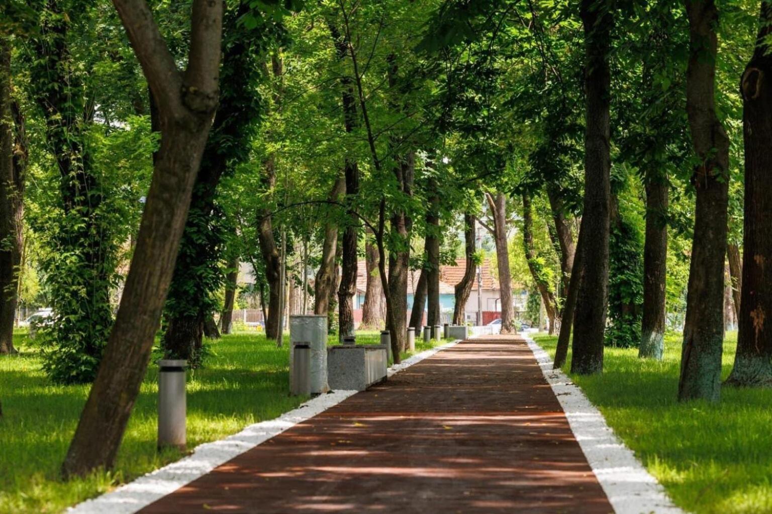 Lykke Living In Napoca Cluj-Napoca
